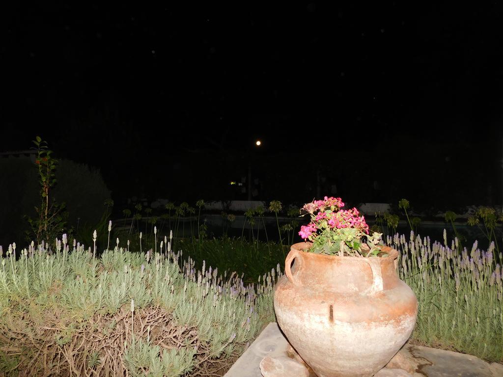 Hotel Portal Del Santo كفايات المظهر الخارجي الصورة